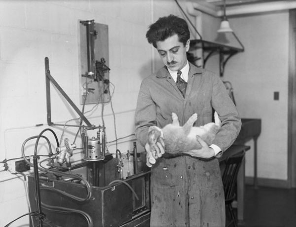 48cea565503f55d592205796087dd9e8